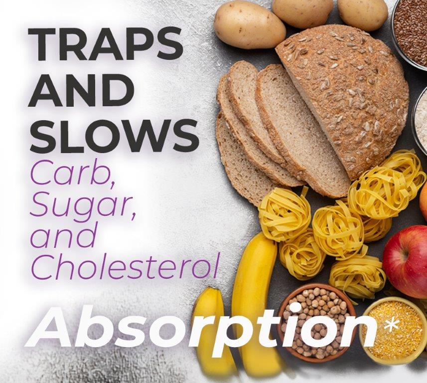 Starbodies® Why You Crave Sugar