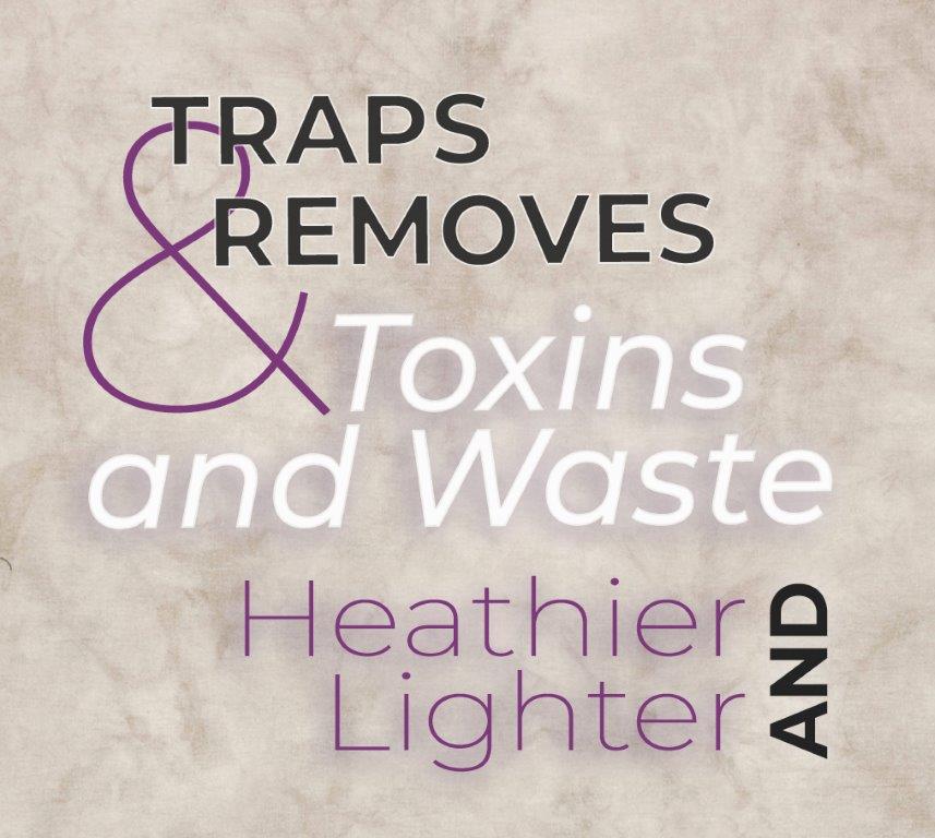 Starbodies® Traps Carbs + Cholesterol