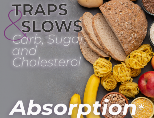 First Article About Fitness